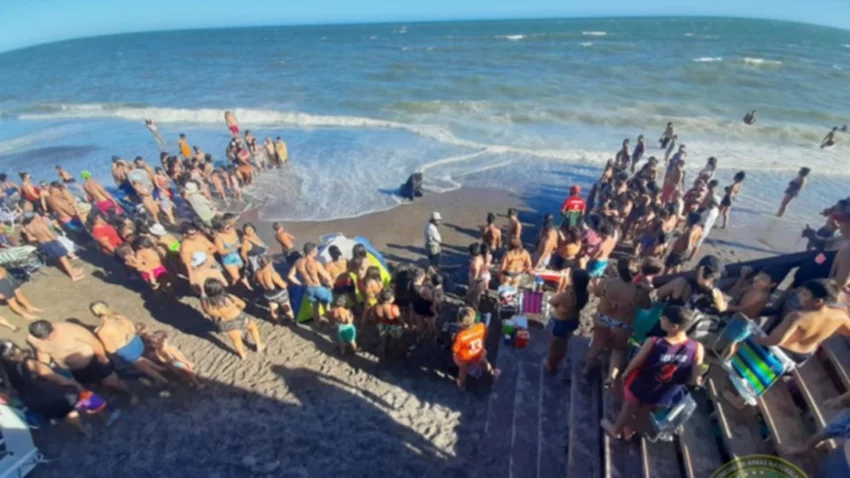 Querían una selfie y 100 turistas rodearon a un lobo marino