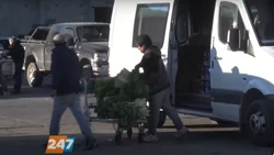 Competencia desleal e inseguridad denuncian desde el Mercado Concentrador