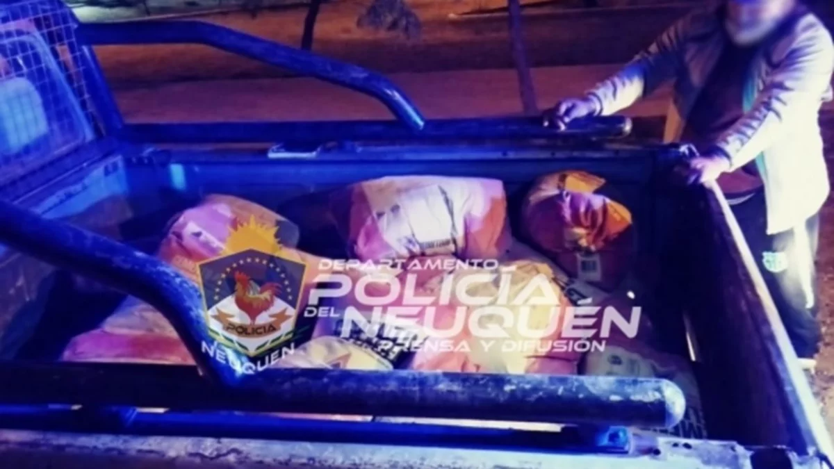 Cayeron con 900 kilos de cemento robados en Neuquén