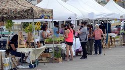 La feria "Neuquén Emprende" acompaña al Día del Cáncer Infantil