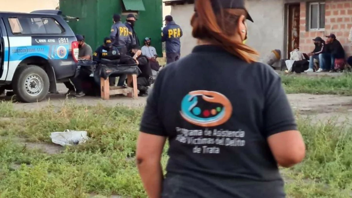 Los golondrinas sometidos a trata, volvieron a su provincia