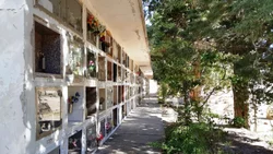 Dicen que la peste acecha en los cementerios neuquinos