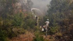 Una investigación determinó el inicio y los responsables del fuego
