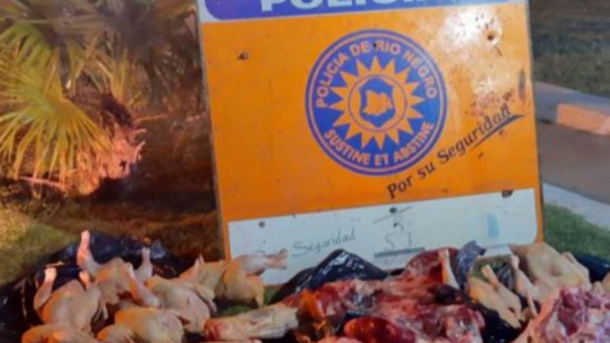 Secuestraron más de 100 kg de carne en Conesa