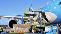 Aerolíneas parte a buscar el millón de vacunas chinas