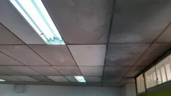 Múltiples denuncias por el mal estado de escuelas