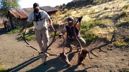 Atraparon a cazadores furtivos en Pilo Lil