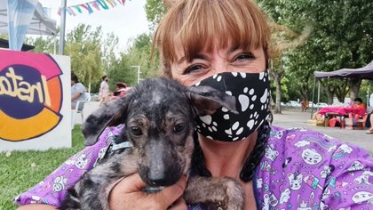 Gaido dispuso un fondo especial para perros y gatos
