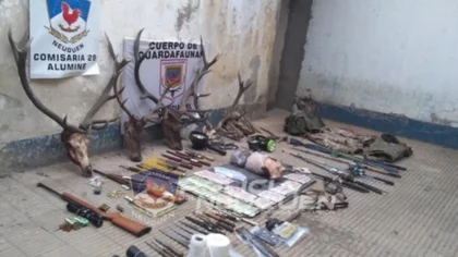Secuestran un arsenal para caza furtiva en Aluminé