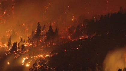 Creen que fue intencional el inicio del fuego