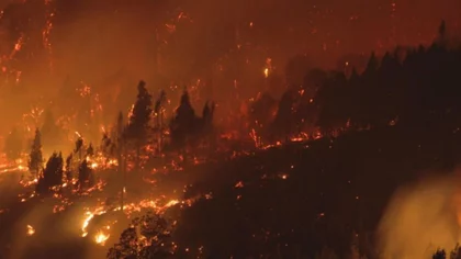 Creen que fue intencional el inicio del fuego