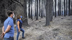 Carreras pidió una condena penal contundente por el fuego