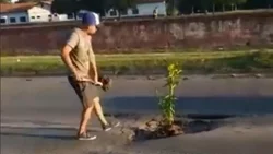 Plantó un árbol en un bache y el vídeo se viralizó