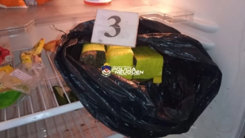 "Morfeo" encontró medio kilo de marihuana en una heladera