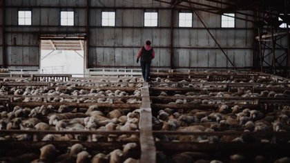 Historias que sólo pueden darse en la Patagonia