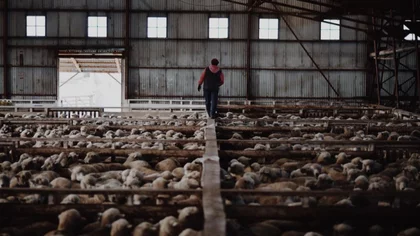 Historias que sólo pueden darse en la Patagonia
