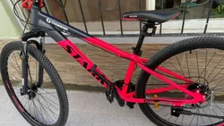 Le robaron la bici a la intendenta de Allen