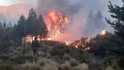 Podrían quedar presos los autores de los incendios