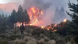 Podrían quedar presos los autores de los incendios