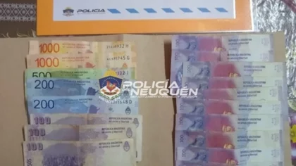 Publicó una venta por internet y terminó estafada