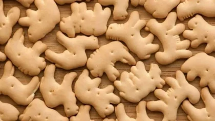 Veganos piden prohibir galletitas con formas de animales