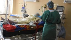 Se registraron 26 muertes en Neuquén y Río Negro