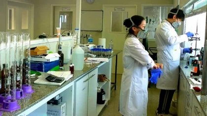 En la región se registraron 259 contagios y 13 muertes