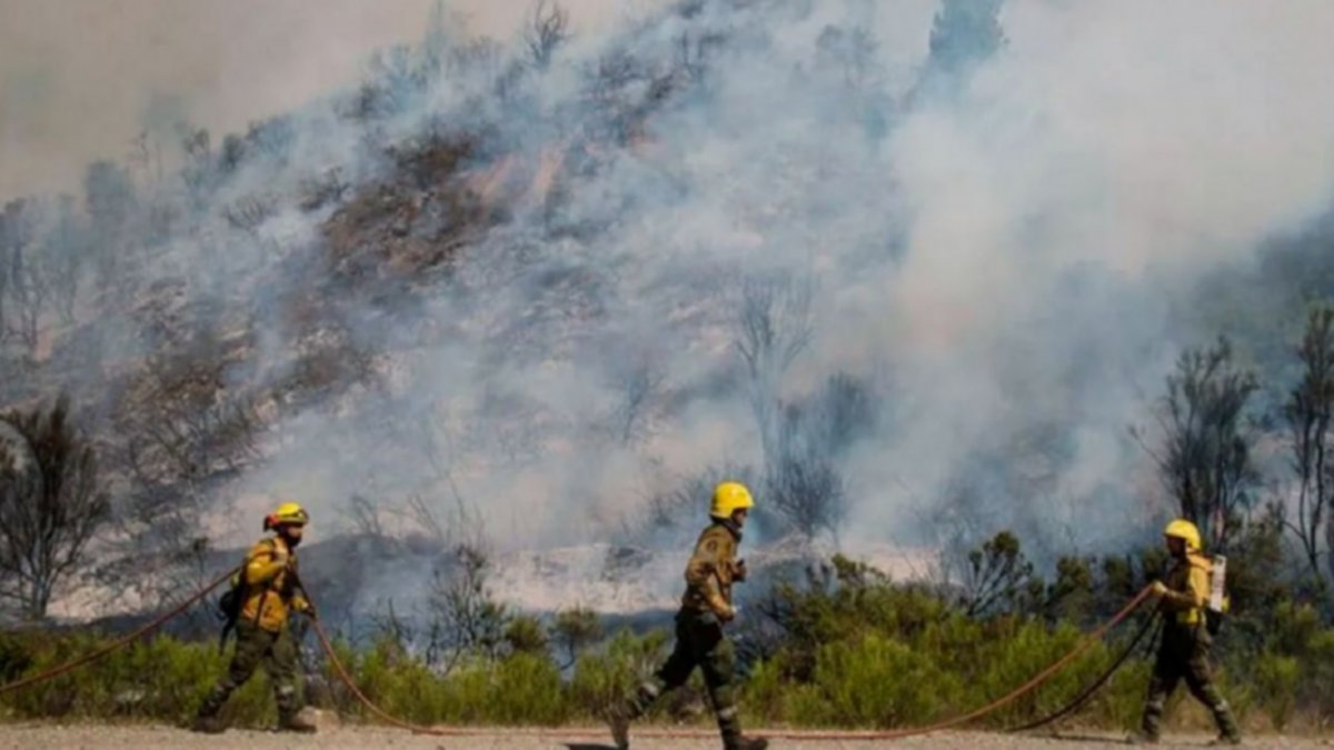 Las pericias complican a los cipoleños que hicieron un asado