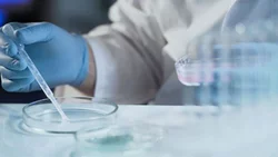 Obra social deberá cubrir tratamiento de fertilización asistida