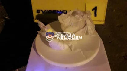 Escondieron la cocaína entre los árboles; los pilló la policía