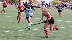 Comenzó la Liga regional de hockey