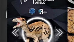 Inauguraron museo on- line de la UNCO
