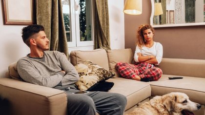 Una Ley establecerá la tenencia compartida de los animales en caso de divorcio