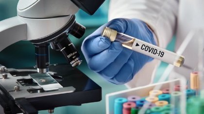 Nuevo estudio indica cuánto duran los anticuerpos luego de tener Covid