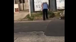 A sangre fría: Mató de un disparo a un perrito del barrio