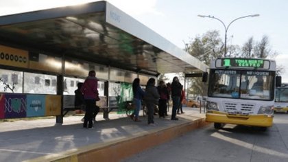 Choferes marcharán en colectivo para pedir vacunas