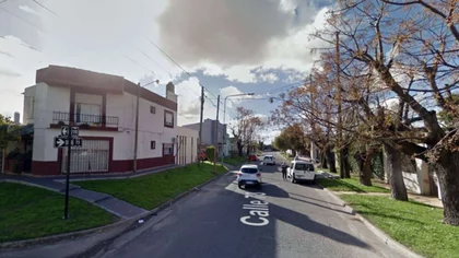 Feroz asalto: Golpearon a una embarazada y envenenaron a 3 perros