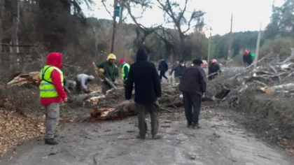 Temporal de viento azotó la cordillera: hubo daños