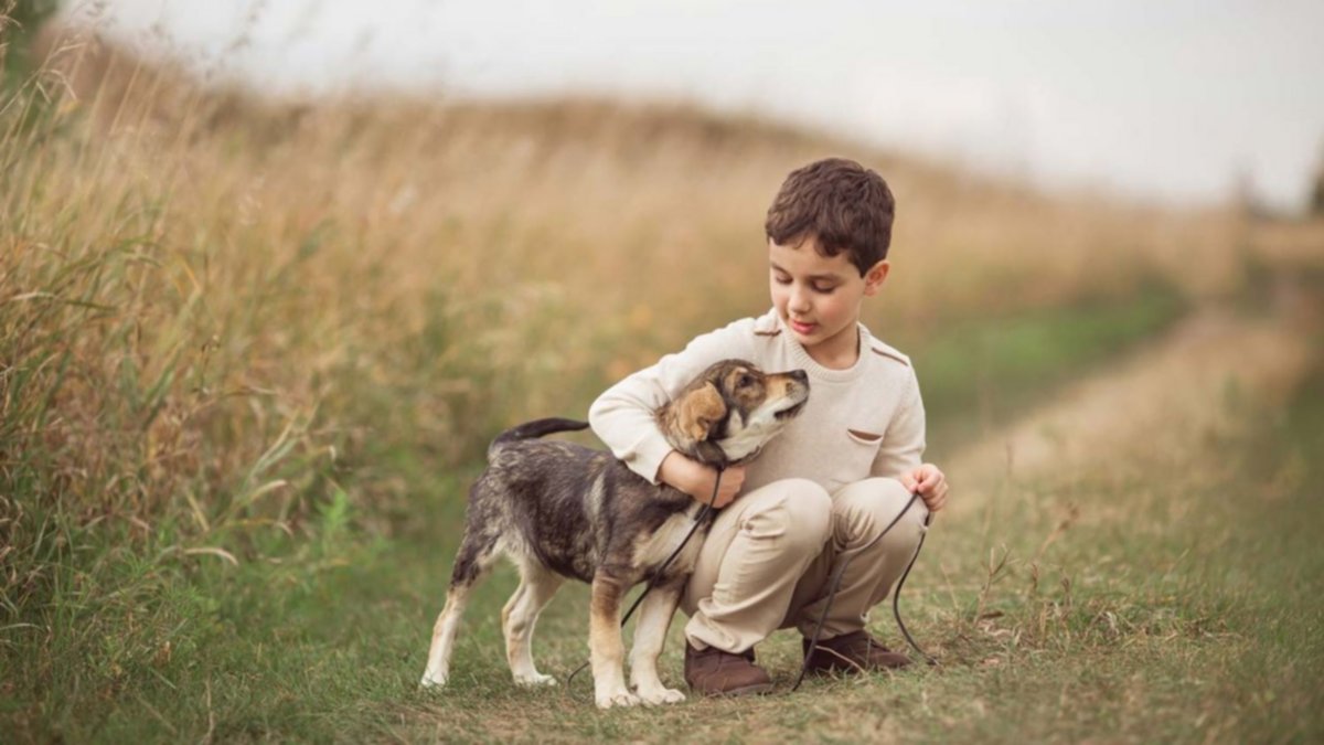Niños que conviven con perros logran un desarrollo social y emocional más avanzado