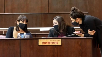 Diputados neuquinos quieren darle cannabis a las mascotas
