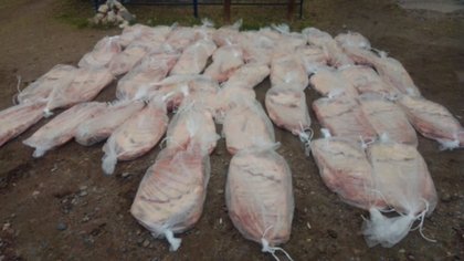Llevaba 50 costillares en la caja de la F-100