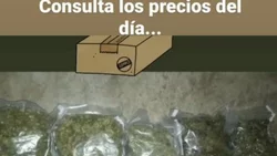 Venden marihuana a domicilio, por Instagram, en Neuquén