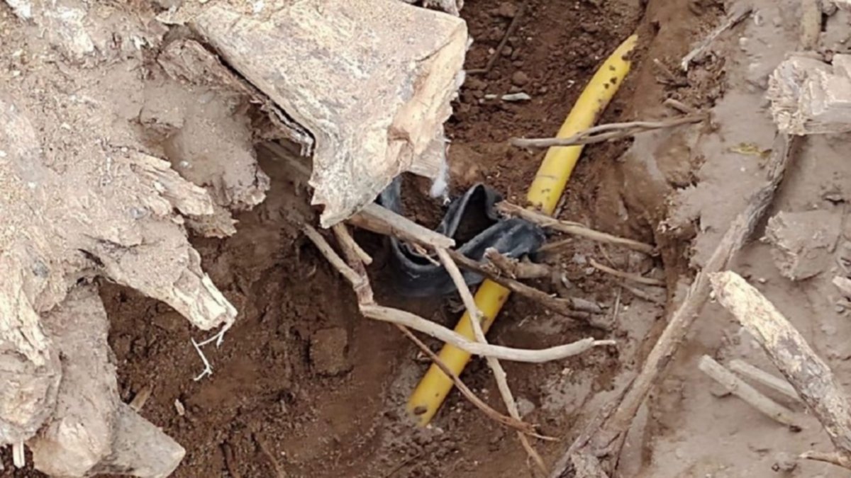 Sacó un árbol y rompió un caño: casi "vuela" un barrio