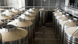 Otra bodega, de remate en San Patricio del Chañar