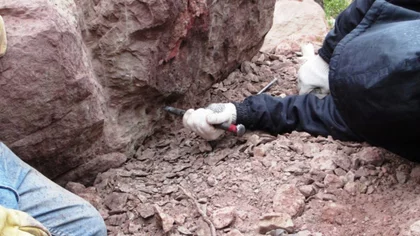 Gendarmería encontró un dinosaurio en una piedra, en El Chocón