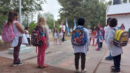Volverían las clases presenciales en Neuquén