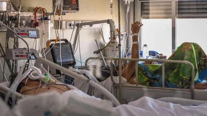 Murieron 268 personas a nivel país por la pandemia