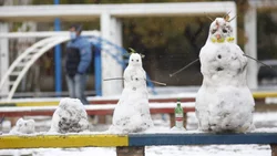 La nieve llegaría este jueves a Neuquén