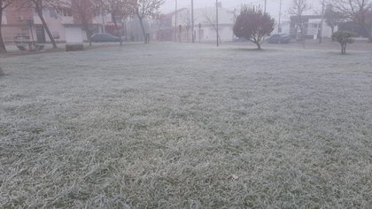 Neuquén amaneció bajo un manto blanco