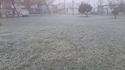 Neuquén amaneció bajo un manto blanco